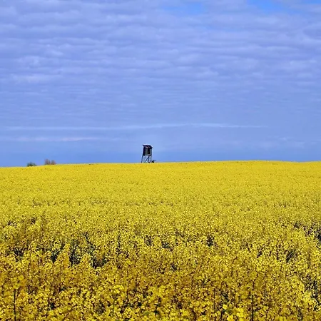 Haus Granitzhof In Ruhiger Lage * Binz